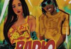 AUDIO: Tanasha Donna Ft Barak Jacuzzi - Radio Mp3 Mp3 Download
