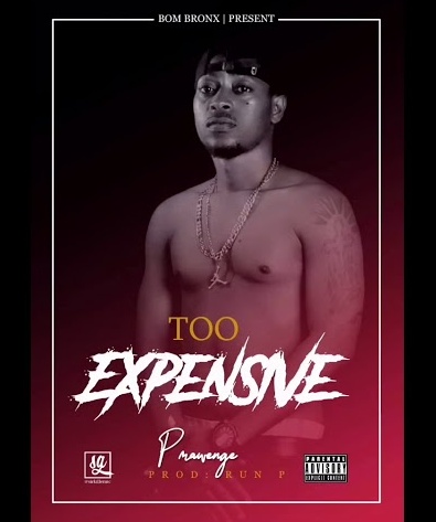 (NEW AUDIO) P Mawenge (P The Mc) – TOO EXPENSIVE VERSES