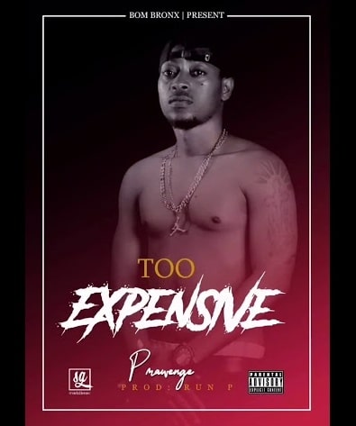(NEW AUDIO) P Mawenge (P The Mc) – TOO EXPENSIVE VERSES