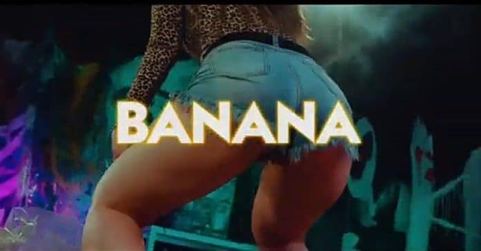 Audio: Willy Paul – BANANA Mp3 Download