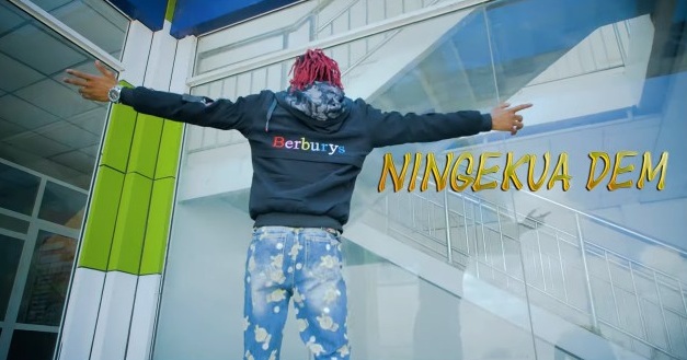 (OFFICIAL VIDEO) Dulla Makabila - NINGEKUWA DEMU