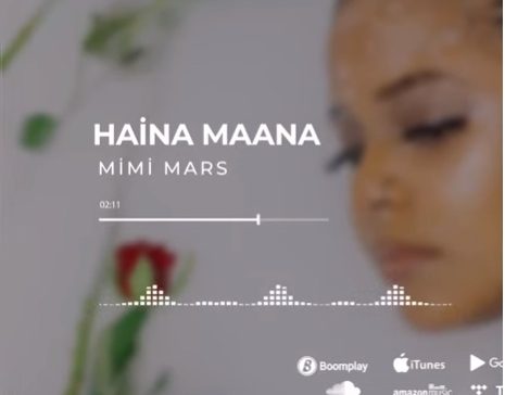 AUDIO: Mimi Mars – HAINA MAANA Mp3 DOWNLOAD