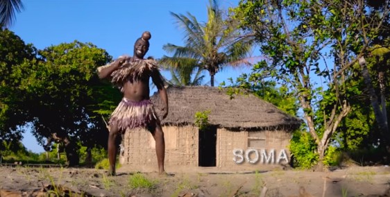 VIDEO: Director Shaibu – SOMA Mp4 DOWNLOAD