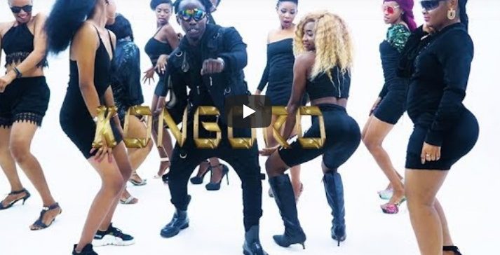 AUDIO: QBoy Msafi – KONGORO Mp3 DOWNLOAD