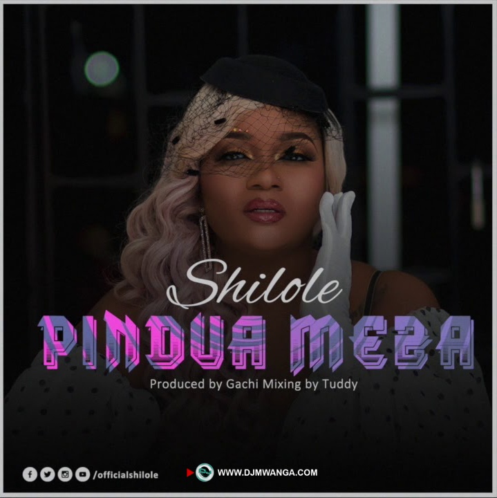 AUDIO: Shilole – PINDUA MEZA Mp3 DOWNLOAD