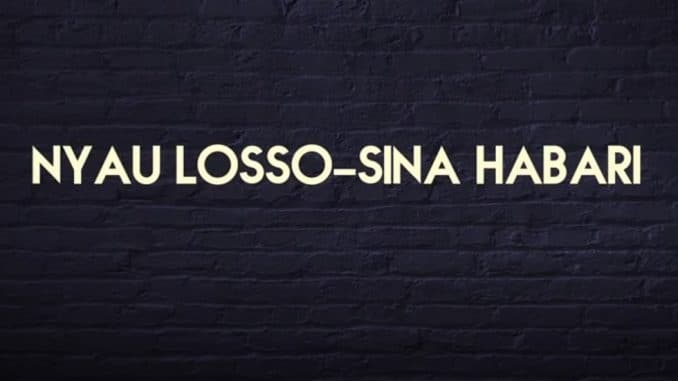 AUDIO | Bonge la nyau - SINA HABARI NAO DOWNLOAD