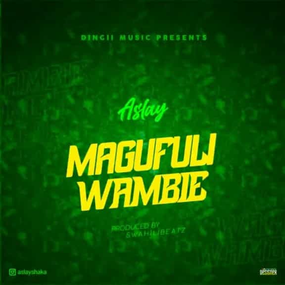 AUDIO: Aslay - (Magufuli Wambie) Mp3 Download Cloudsmediatz