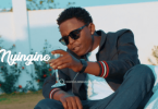 Linex – Dunia Nyingine Mp4 Download