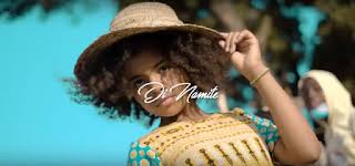 Di Namite - Tamaduni Mp3 Download