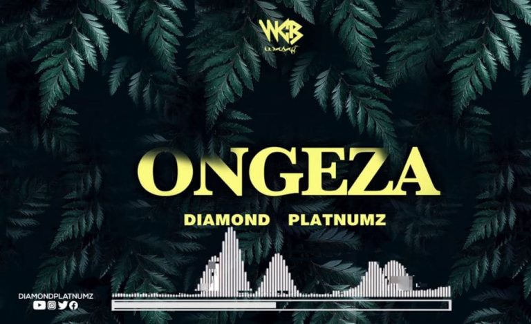Diamond Platnumz – Ongeza Mp3 Download