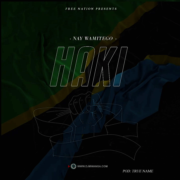 Nay wa Mitego – Haki Mp3 Download