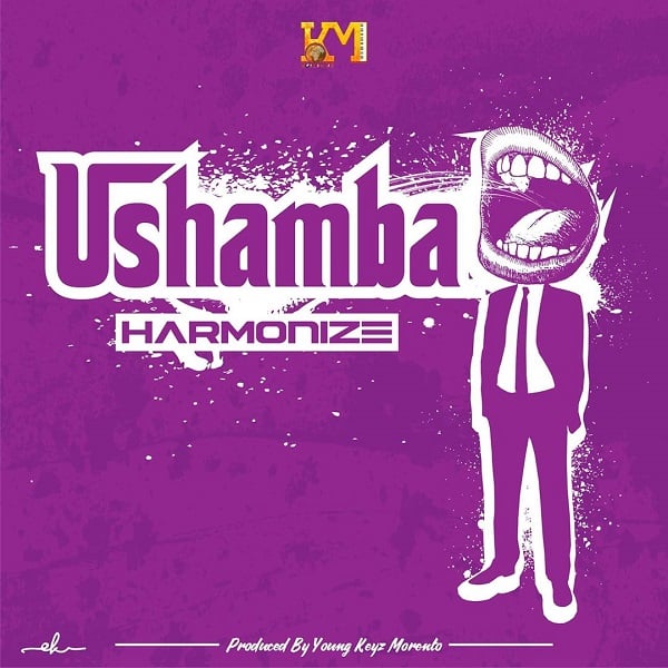 Harmonize - Ushamba Mp3 Download AUDIO