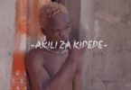 AUDIO: Harmorapa – Akili za Kipepe Mp3 DOWNLOAD