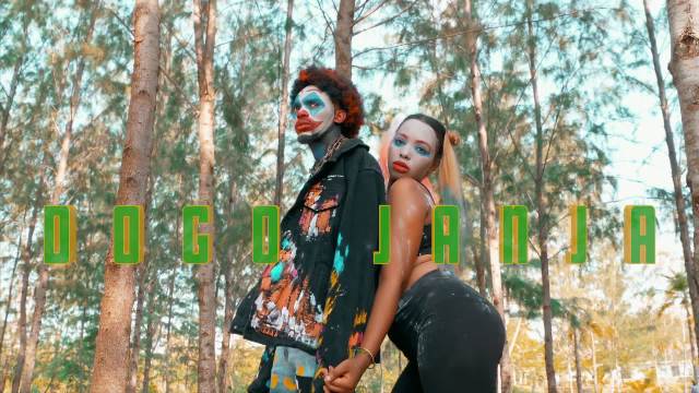 VIDEO: Dogo Janja – Turn Me On Mp4 Download