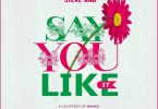 AUDIO: Steve RnB – SAY YOU LIKE IT Mp3 Download