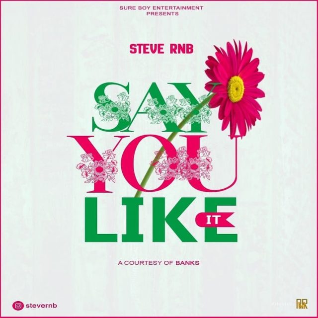 AUDIO: Steve RnB – SAY YOU LIKE IT Mp3 Download