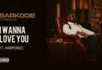 AUDIO: Sarkodie Ft Harmonize - I Wanna Love You Mp3 Download