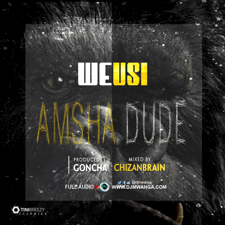 AUDIO: Weusi - Amsha Dude Mp3 Download