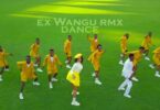 Dance VIDEO: Hamisa Mobetto Ft Seneta - Ex wangu Remix Mp4 Download