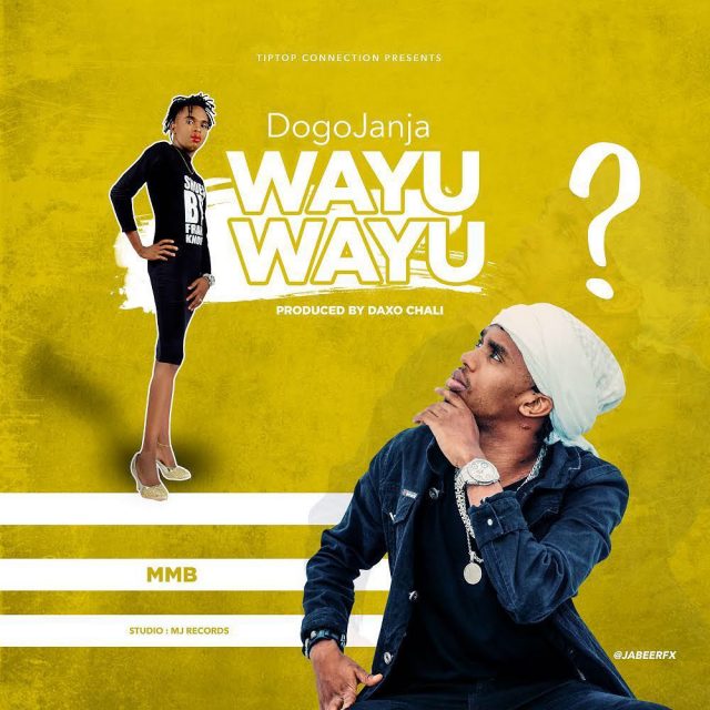 AUDIO: Dogo Janja - Wayu Wayu Mp3 Download
