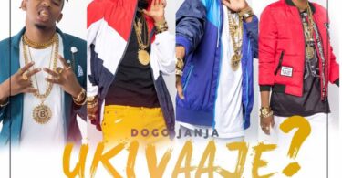 AUDIO: Dogo Janja - Ukivaaje Unapendeza Mp3 Download