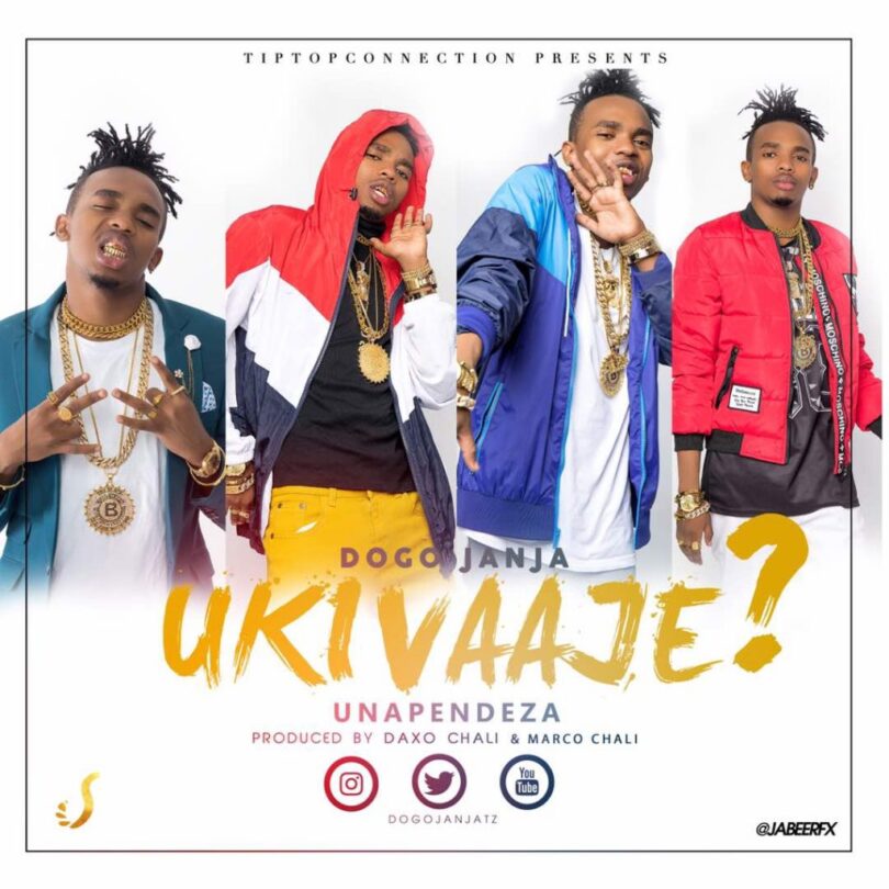 AUDIO: Dogo Janja - Ukivaaje Unapendeza Mp3 Download