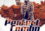 AUDIO: Joh Makini Ft Chidinma - Perfect Combo Mp3 Download