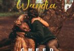 VIDEO: Cheed - Wandia Mp4 Download