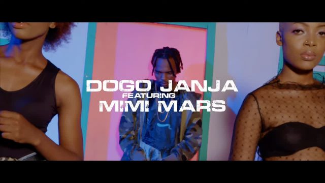 VIDEO: Dogo Janja Ft Mimi Mars - Shindulia Chini Mp4 Download