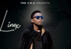 AUDIO: Linex Sunday - Moyo Wa Subira Mp3 Download
