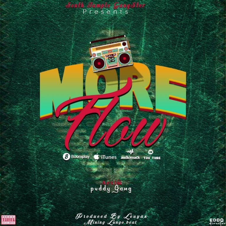 AUDIO: Puddy Gang - More Flow 2 Mp3 Download