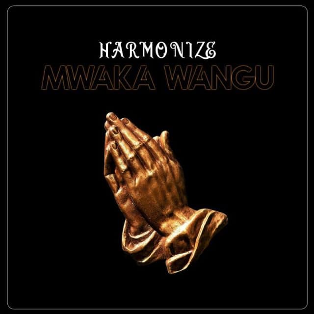 AUDIO: Harmonize - Mwaka Wangu Mp3 Download