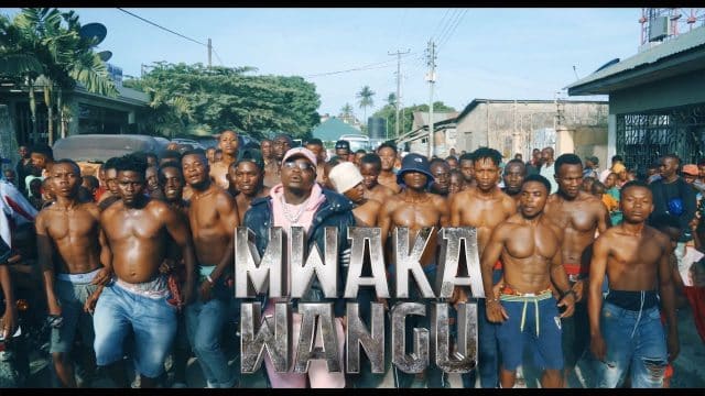 VIDEO: Harmonize - Mwaka Wangu Mp4 Download