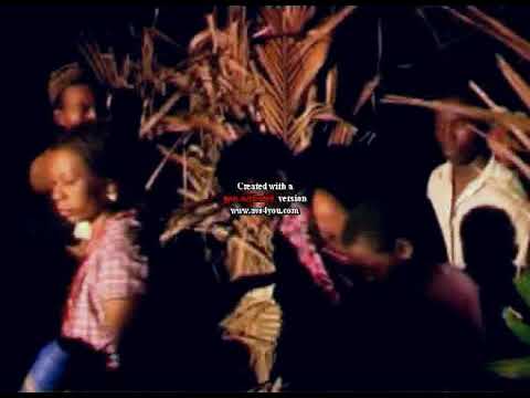 AUDIO: Solid Ground Family - Bush Party Mp3 Download