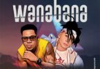 AUDIO: Nay Wamitego Ft Dogo Sillah Ft - Wanabana Mp3 Download