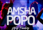 AUDIO: Nay Wa Mitego - Amsha Popo Mp3 Download