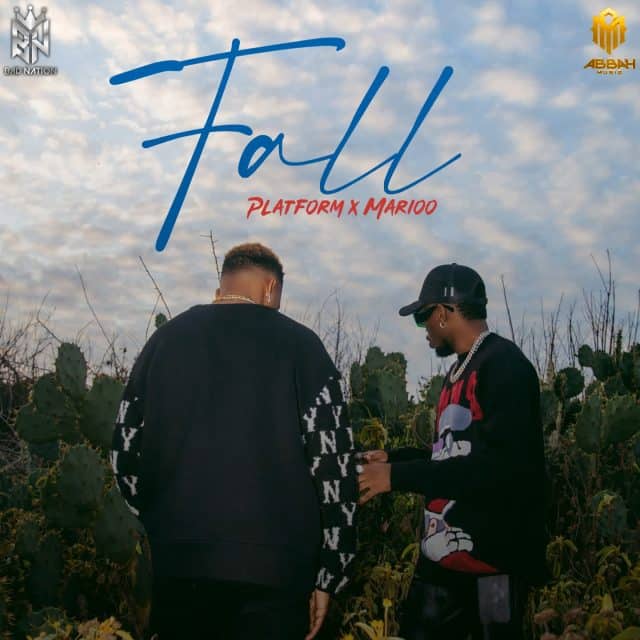 AUDIO: Platform Tz Ft Marioo - Fall Mp3 Download