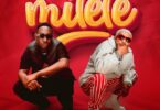 AUDIO: Manengo Ft Kusah – Milele Mp3 Download