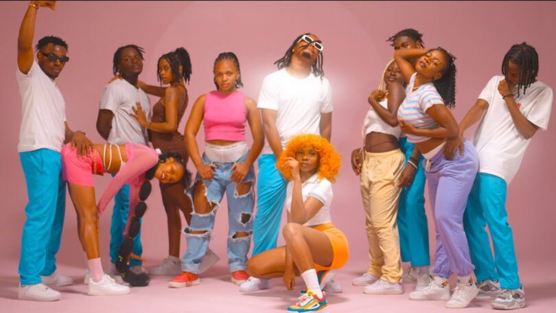 VIDEO: Zuchu - KwiKwi Mp4 Download