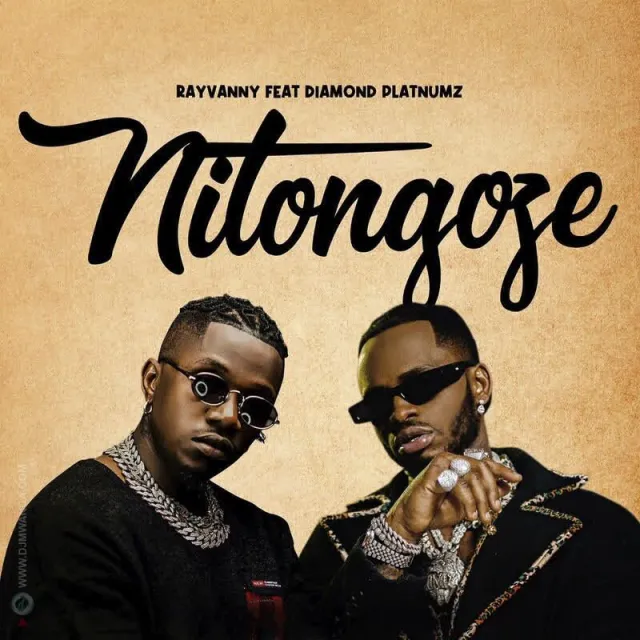 AUDIO: Rayvanny Ft Diamond Platnumz - Nitongoze Mp3 Dowload
