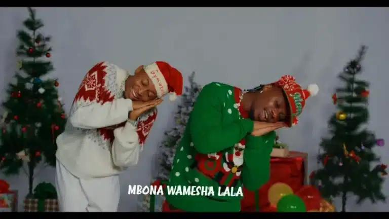 VIDEO: Mavokali Ft Rayvanny - Mapopo Mp4 Download