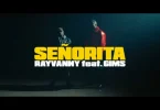 VIDEO: Rayvanny Ft Gims - SeÑorita Mp4 Download