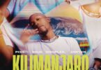 AUDIO: Pcee Ft Royal MusiQ & Dimtonic SA - Kilimanjaro Mp3 Download