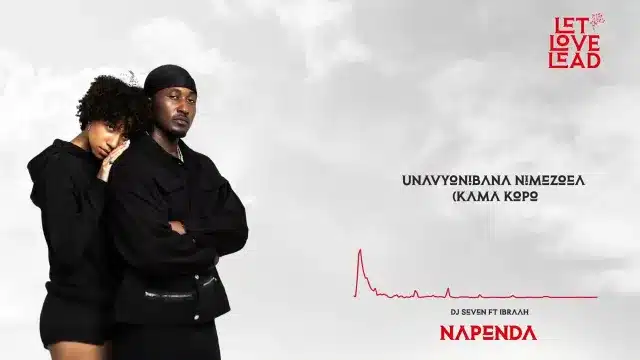 AUDIO: Dj Seven Worldwide Ft Ibraah - Napenda Mp3 Download