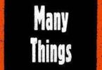 AUDIO: Zinoleesky - Many Things Mp3 Download