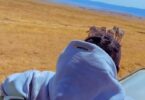 VIDEO: Rayvanny - Vacation Mp4 Download
