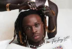 AUDIO: Fireboy DML Ft Asake - Bandana Mp3 Download