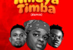 AUDIO: Whozu Ft Mbosso & Billnass - Ameyatimba Remix Mp3 Download