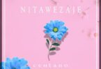 AUDIO: Centano - Nitawezaje Mp3 Download
