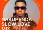 Download Nakupenda Slow Love Mix Inayomshirikisha Jay Melody